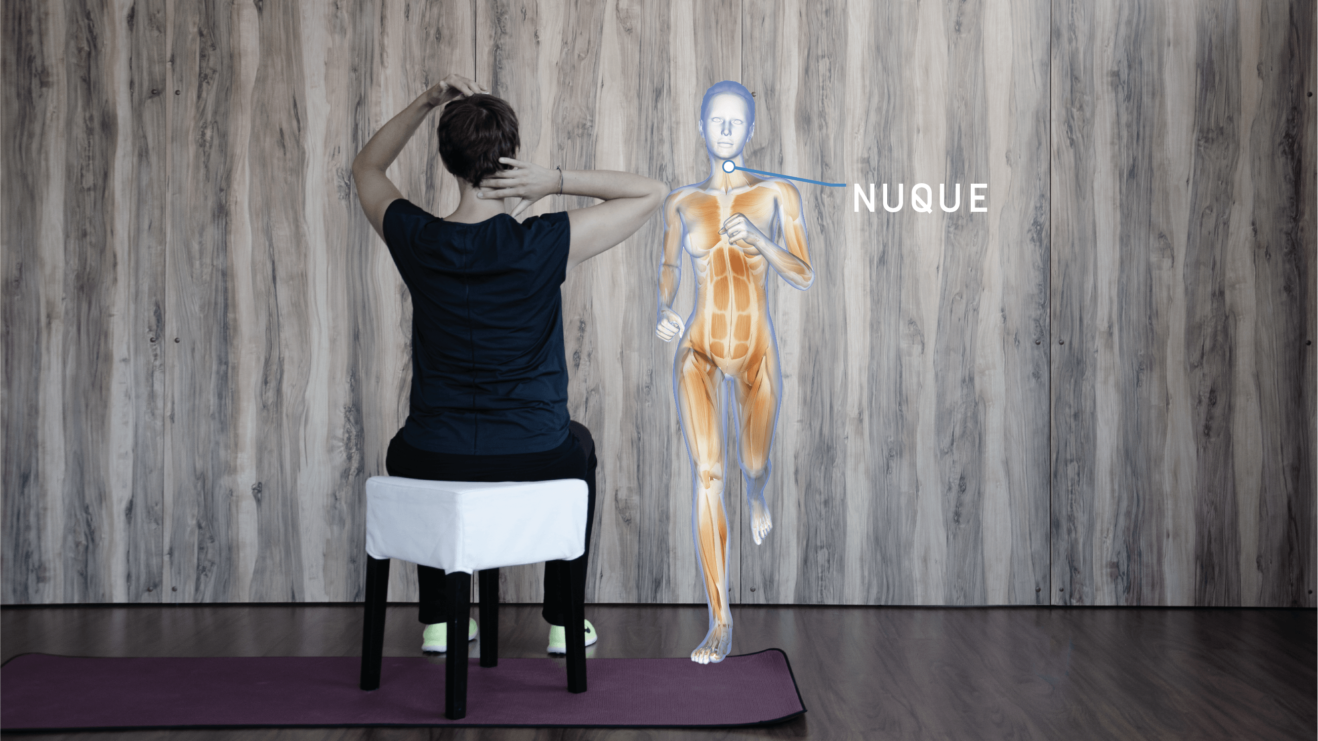 Anatomie Enmouvement - Nuque