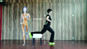Anatomie Enmouvement - Psoas