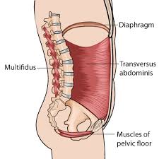 Caisson Abdominal