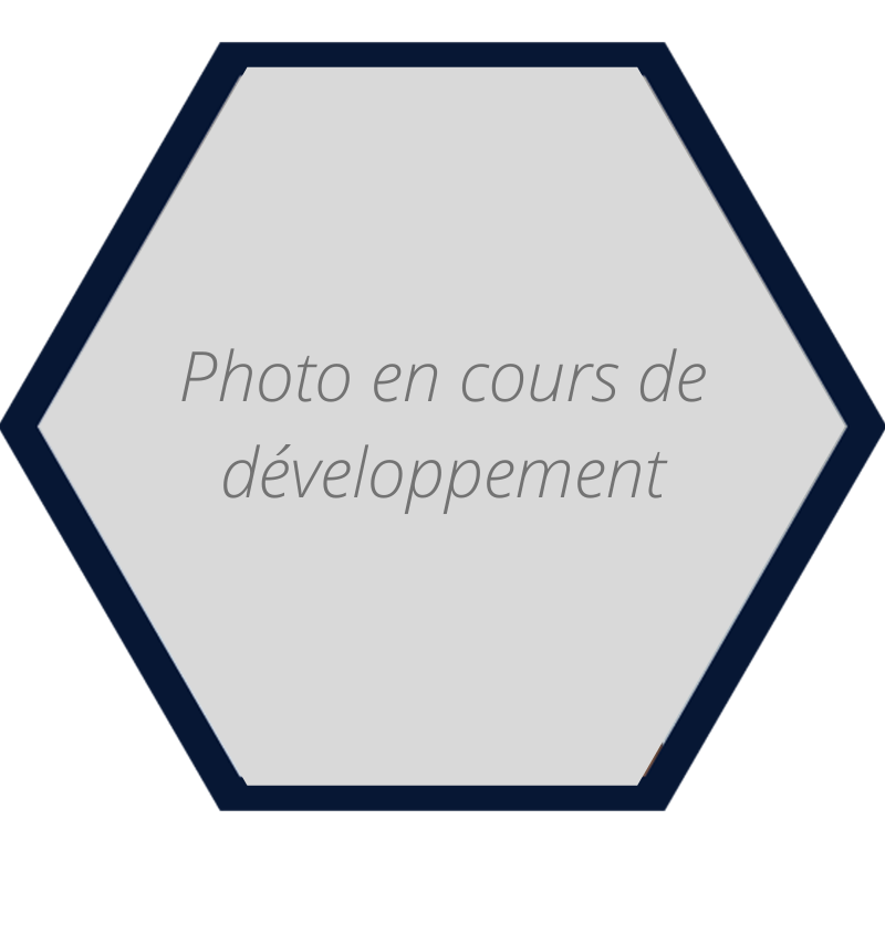 Photo-en cours